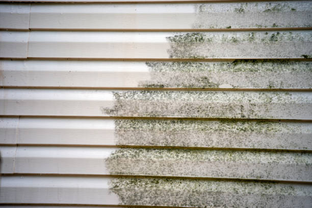 Best Dumpster Rental Services  in Chambersburg, PA