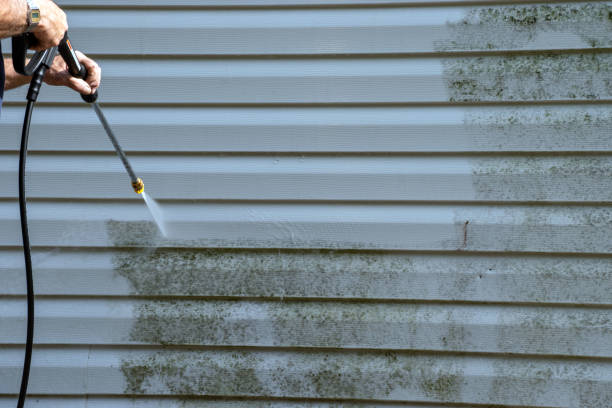 Best Yard Waste Removal  in Chambersburg, PA